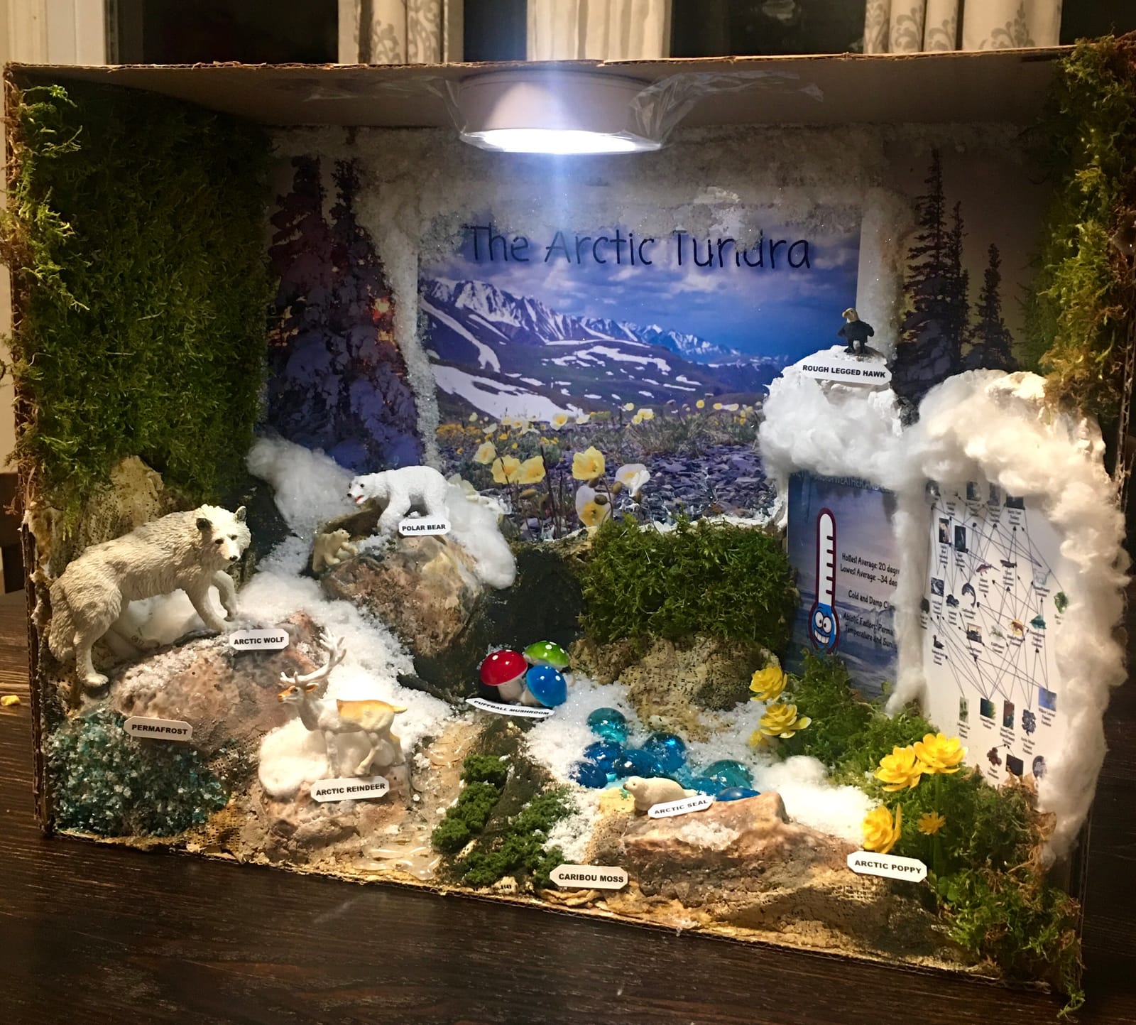 Woodland Scenics Diorama Kit, Mountain customer photo 1