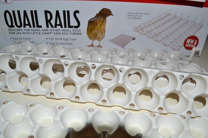 Little Giant® Quail Rails | 120 Eggs | Turner Equipment for Incubating Small Eggs | Quail Egg Incubator customer photo 2