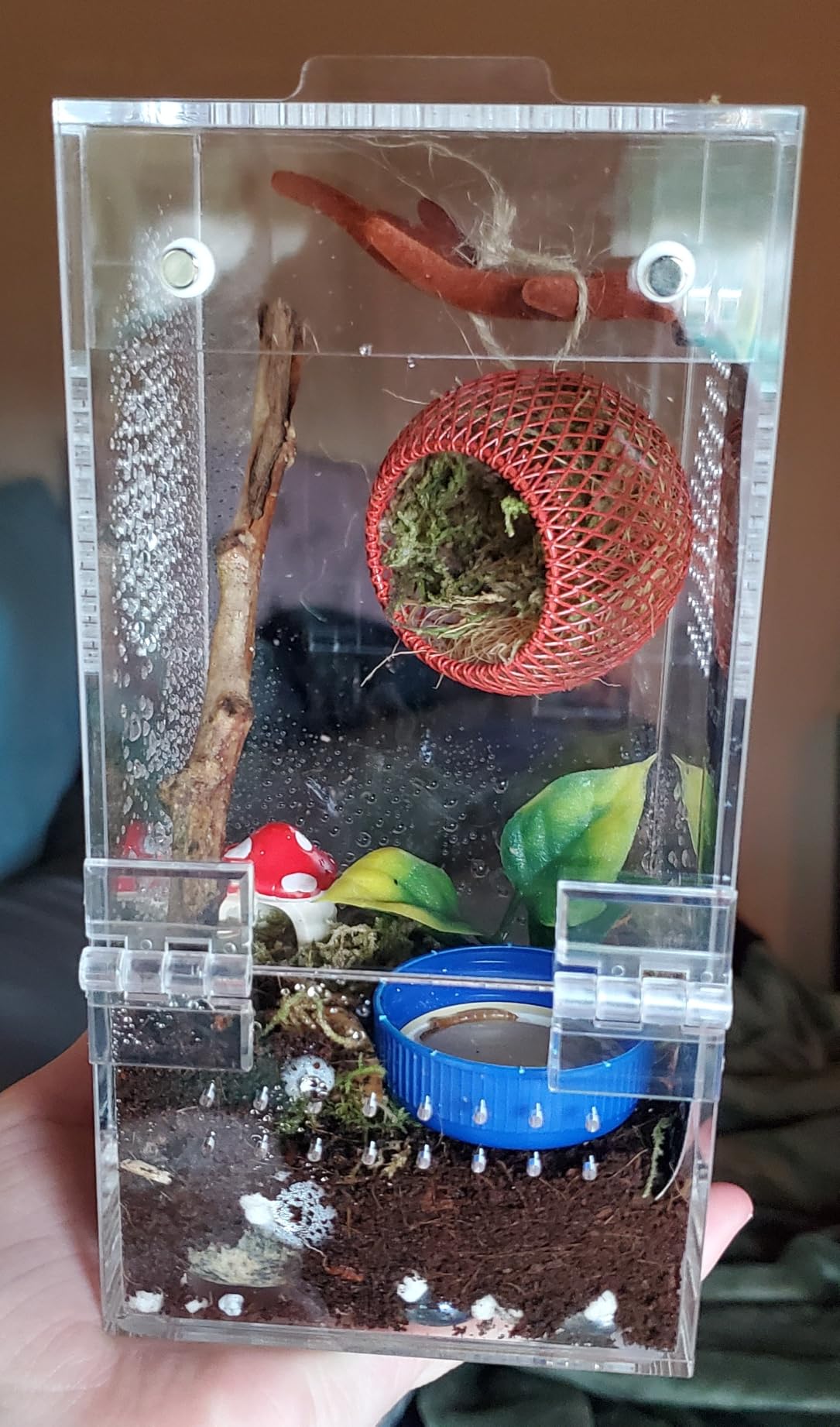 Zilla Coconut Husk, Organic Reptile Bedding, Coconut Fiber, One size, Brown customer photo 2
