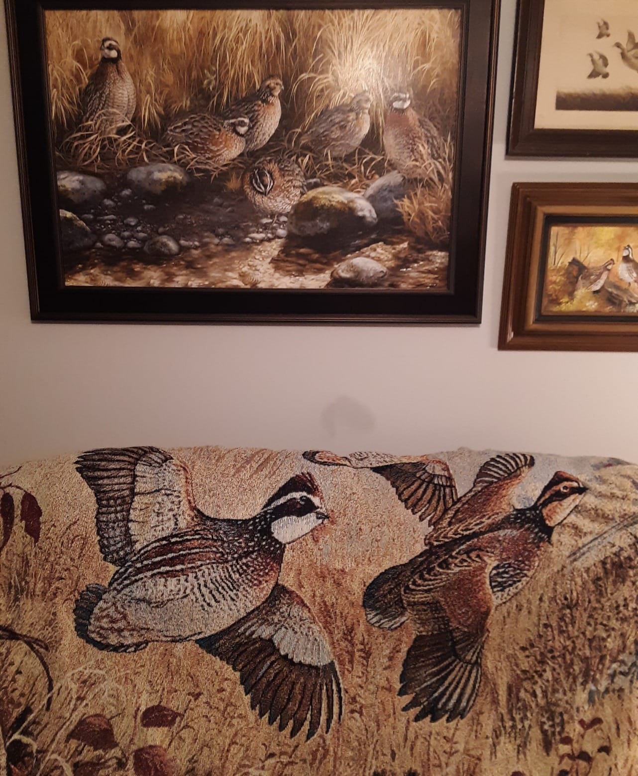 Pure Country Weavers Enchanted Passage Loons Blanket by Derk Hanson - Lake Lodge Cabin Gift Tapestry Throw Woven from Cotton - Made in the USA (72x54) customer photo 1