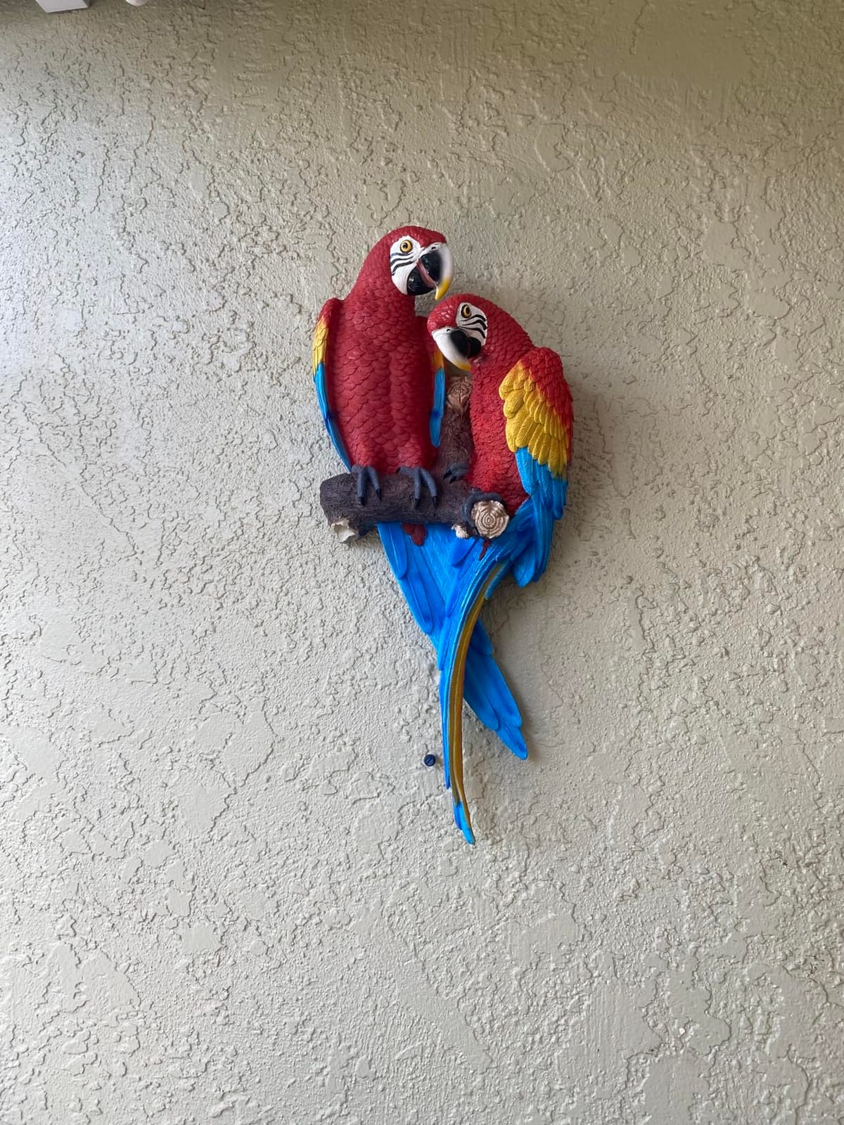 Design Toscano Tropical Scarlet Macaws Wall Sculpture customer photo 1