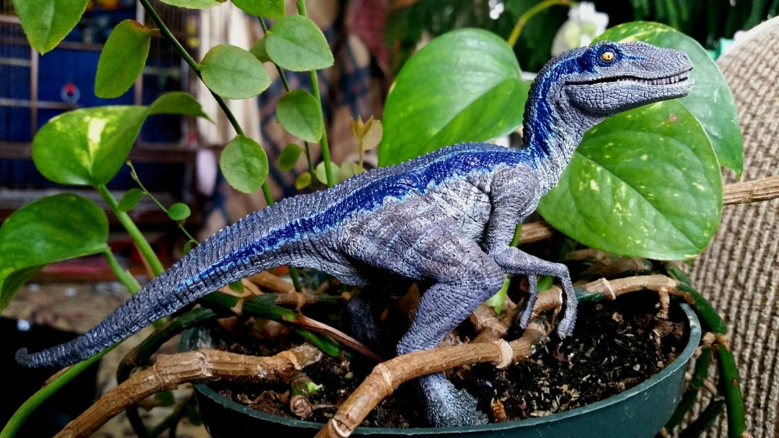 Papo Velociraptor Dinosaur Figurine, Cretaceous Collection, Kids Ages 3+ | Educational Play | Hand-Painted | Great Gift Idea customer photo 1