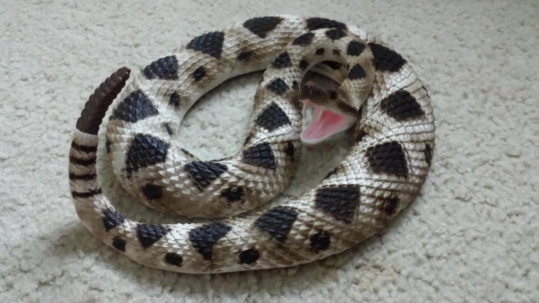 Safari Ltd. Eastern Diamondback Rattlesnake Figurine - Realistic 40