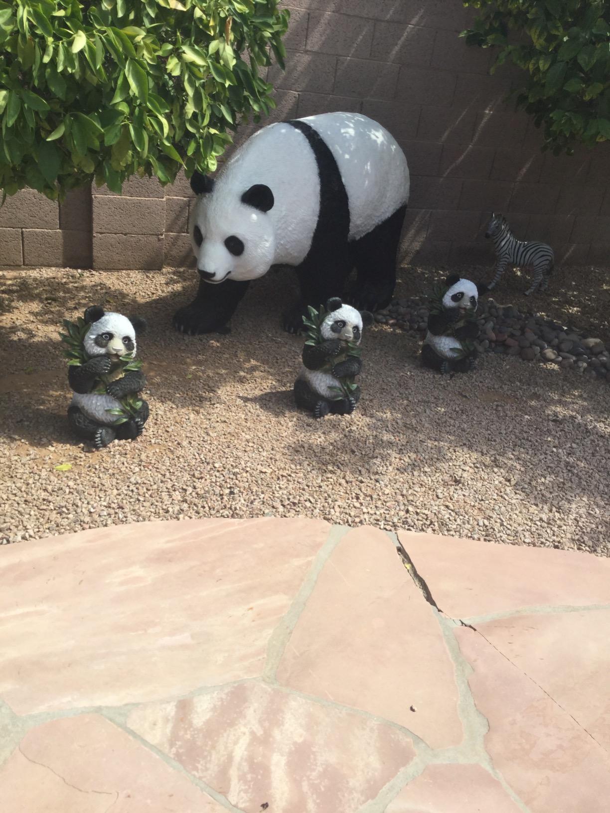 Design Toscano Tian Shan, the Panda Sculpture customer photo 1