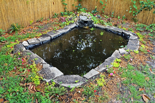Koolatron 270 Gallon Pond Kit with Lighting, Black, (KSPK-270SL) customer photo 2