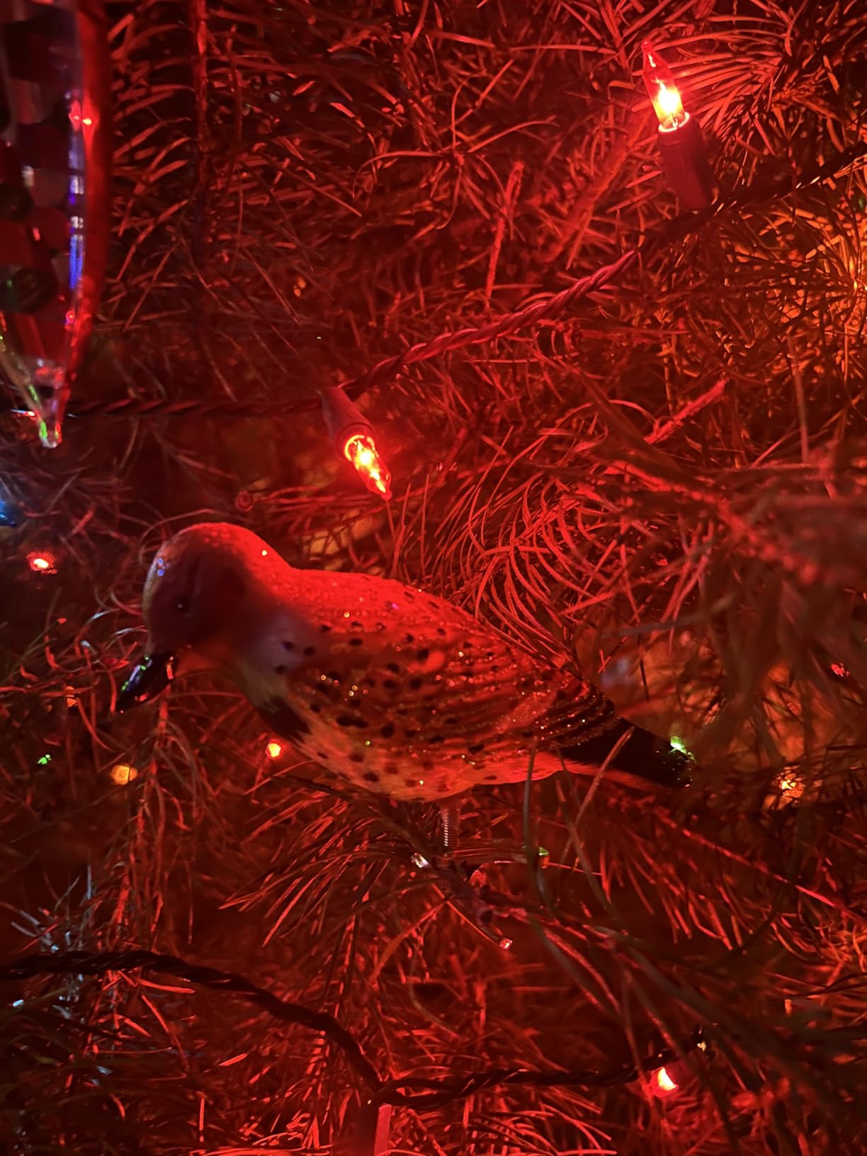 Old World Christmas Nuthatch Glass Blown Ornament for Christmas Tree, Handcrafted Holiday Decoration, Clip - Bird Watcher Clip Collection customer photo 1