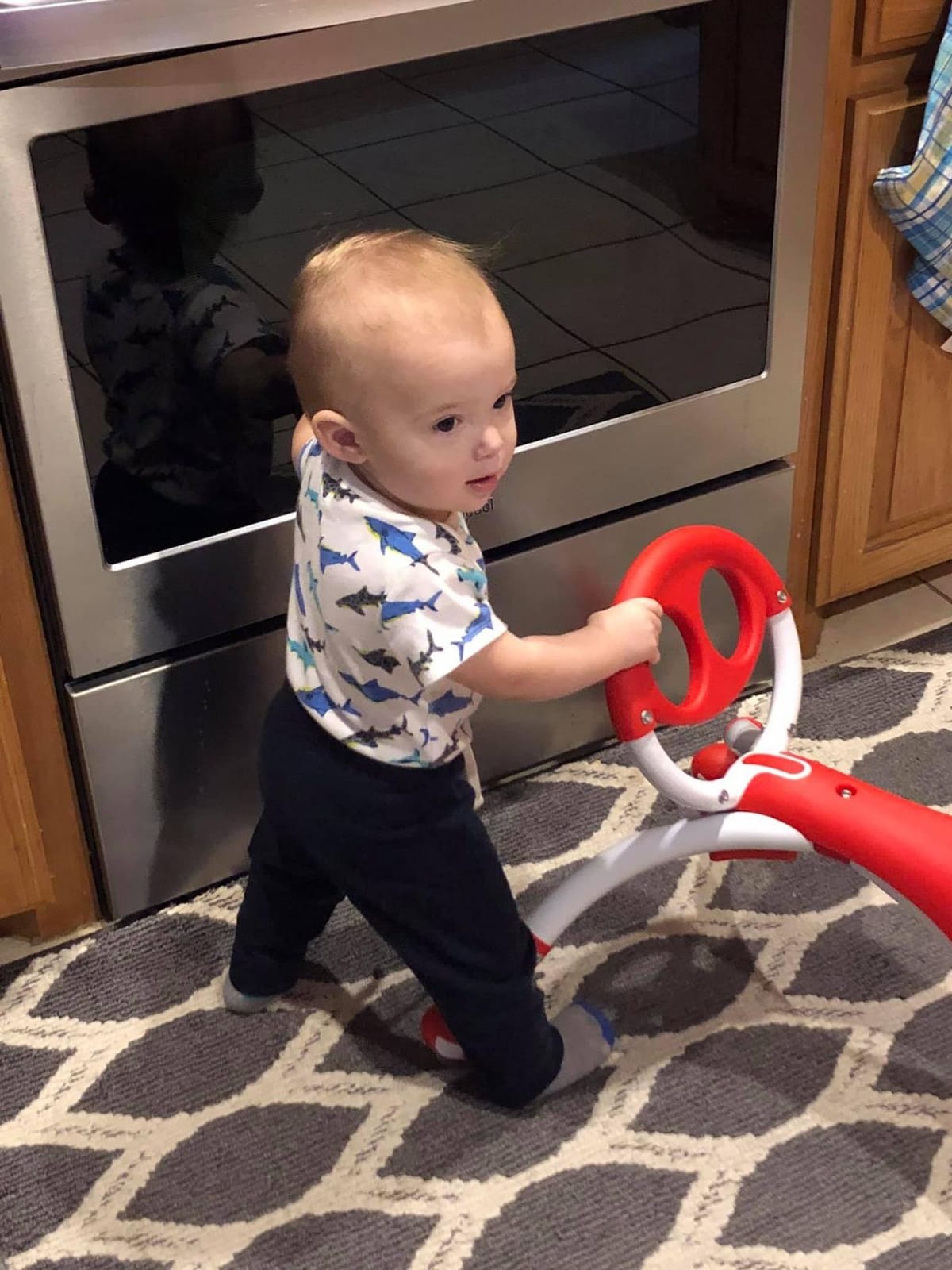YBIKE Pewi Walking Ride On Toy - from Baby Walker to Toddler Ride On for Ages 9 Months to 3 Years Old, YPIW3, Blue customer photo 2