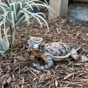 Safari Ltd. Horned Lizard Figurine - Lifelike 5.25