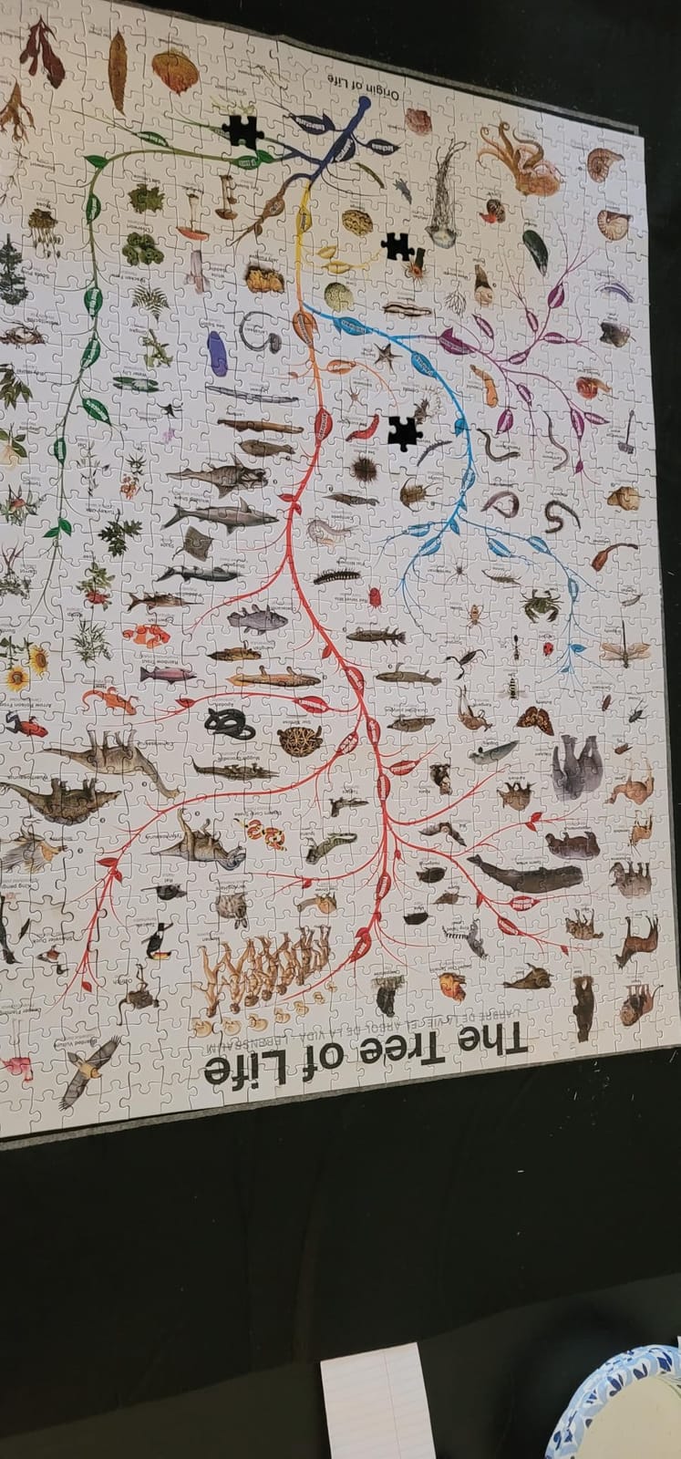 Eurographics Evolution The Tree of Life 1000-Piece Puzzle customer photo 2