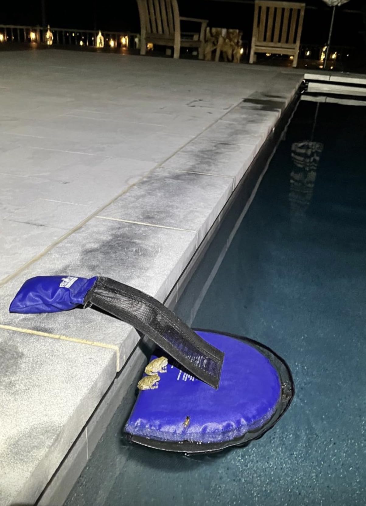 SWIMLINE | Frog Log Critter Escape Ramp for Pools and Spas | Single Ramp | Gives frogs, chipmunks, ducklings, and lizards a way out instead of drowning in the skimmer; sets up in seconds customer photo 1
