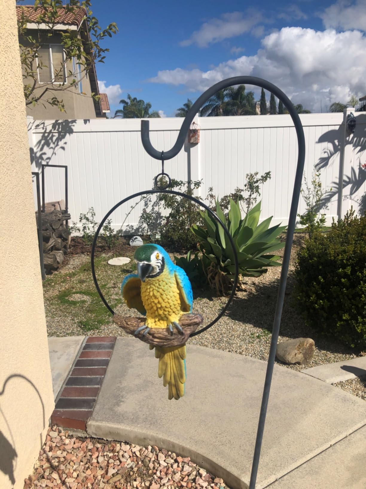 Design Toscano Polly in Paradise Parrot Hanging Bird Ring Perch | Indoor/Outdoor Statue | Medium 14 Inch Tall customer photo 2