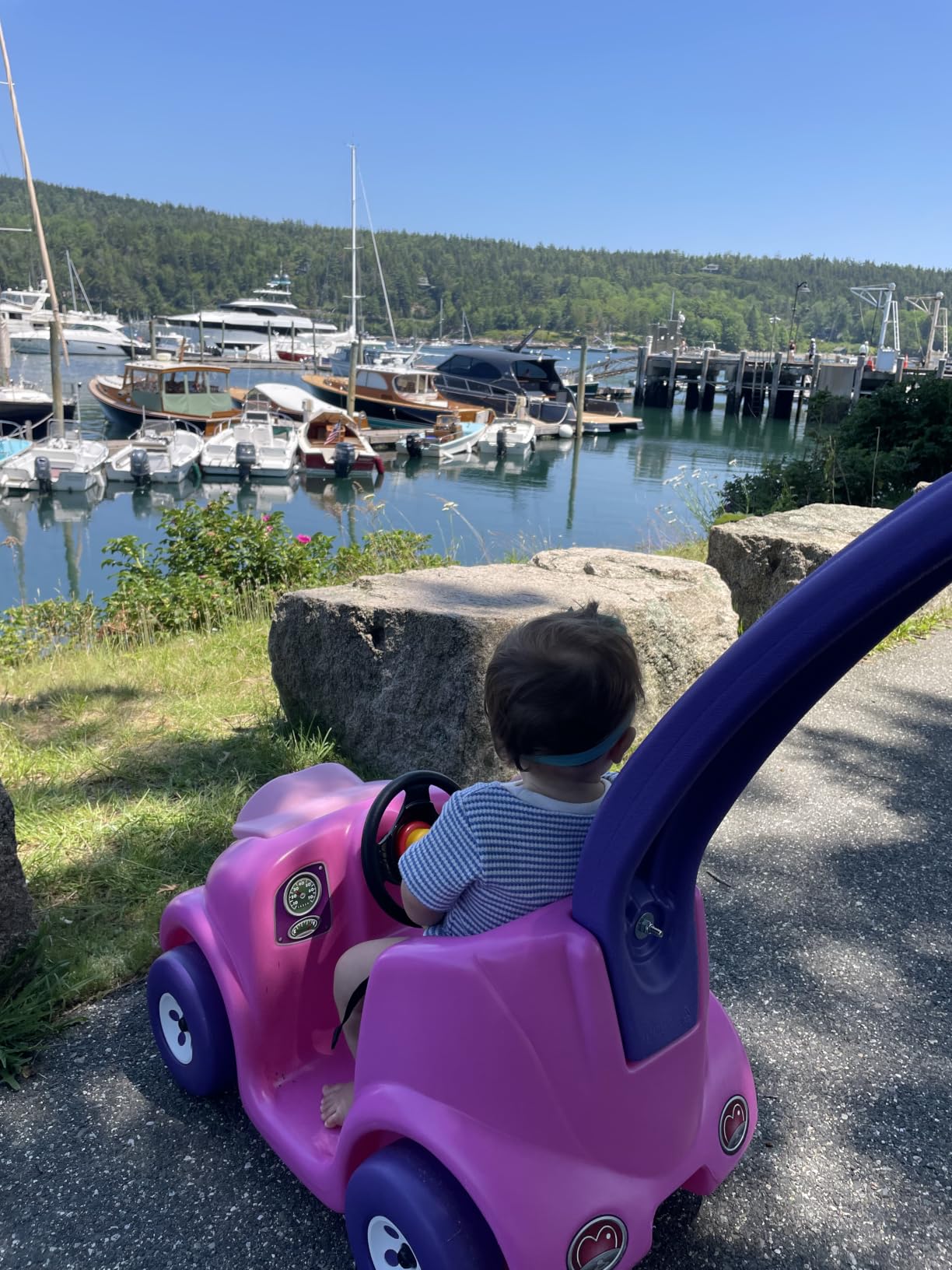 Step2 Push Around Buggy Kids Push Car, Ride On Toy, Stroller Substitute, Includes Seat Belt & Horn, Made of Durable Plastic, Max Weight 50 lbs., For Toddlers 1.5-4 Years Old, Pink customer photo 2