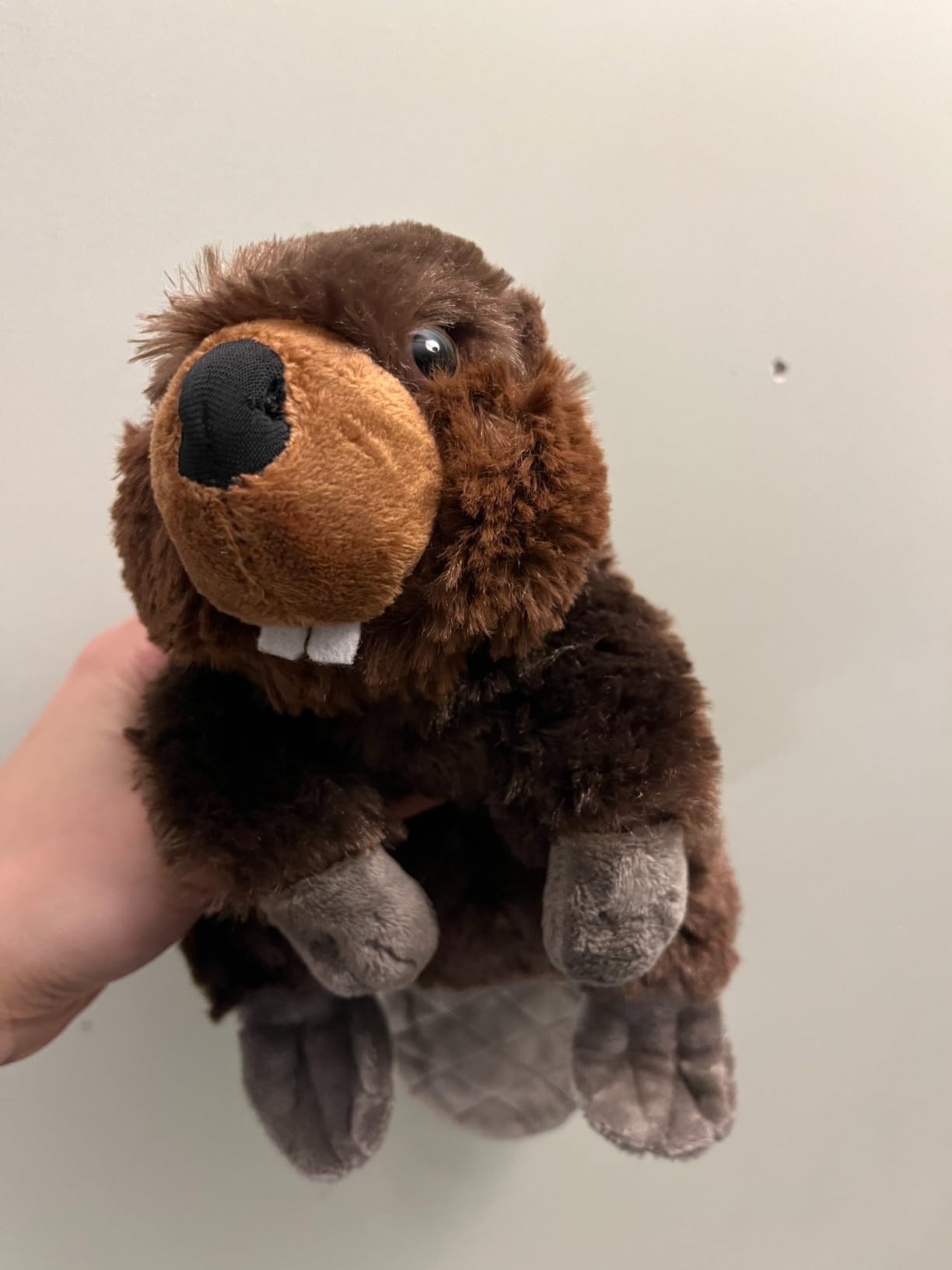 Wild Republic Beaver Plush, Stuffed Animal, Plush Toy, Kids Gifts, Cuddlekins, 12 inch customer photo 1