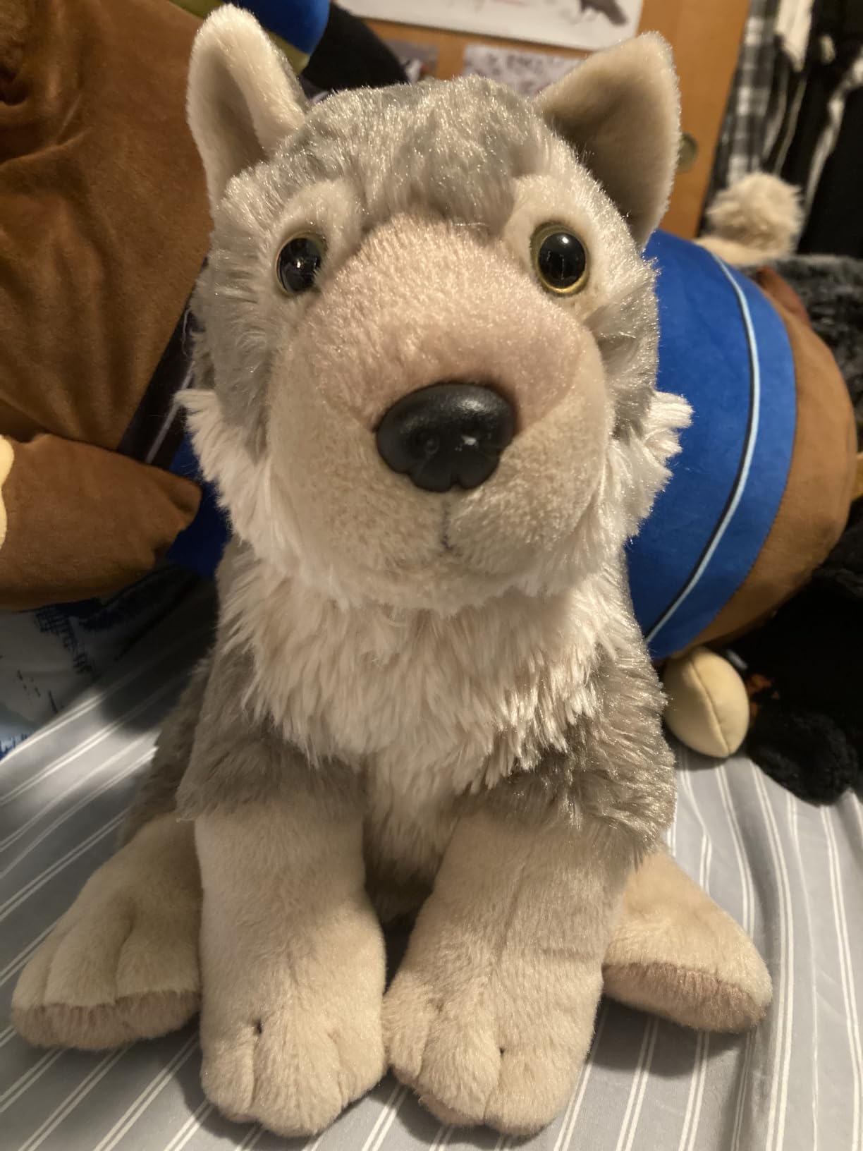 Wild Republic Wolf Plush, Stuffed Animal, Plush Toy, Gifts for Kids, Cuddlekins 12 Inches customer photo 1