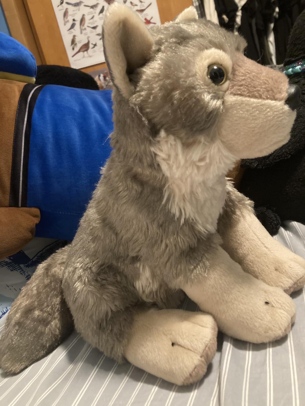 Wild Republic Wolf Plush, Stuffed Animal, Plush Toy, Gifts for Kids, Cuddlekins 12 Inches customer photo 2