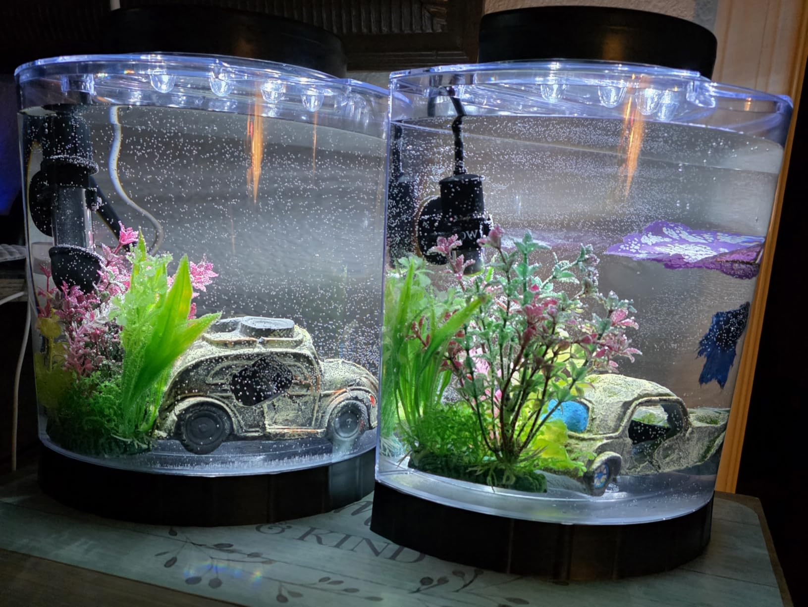 Tetra LED Half Moon 1.1 Gallon Fish Tank Kit for Betta Fish customer photo 1