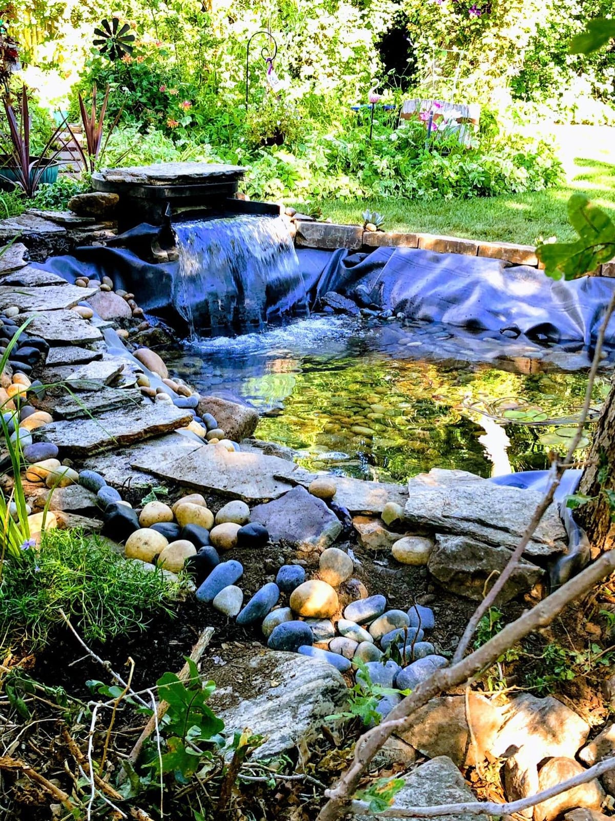 HALF OFF PONDS Complete Pro 5200 GPH Pond Kit 20 x 30 Ft EPDM Liner customer photo 1