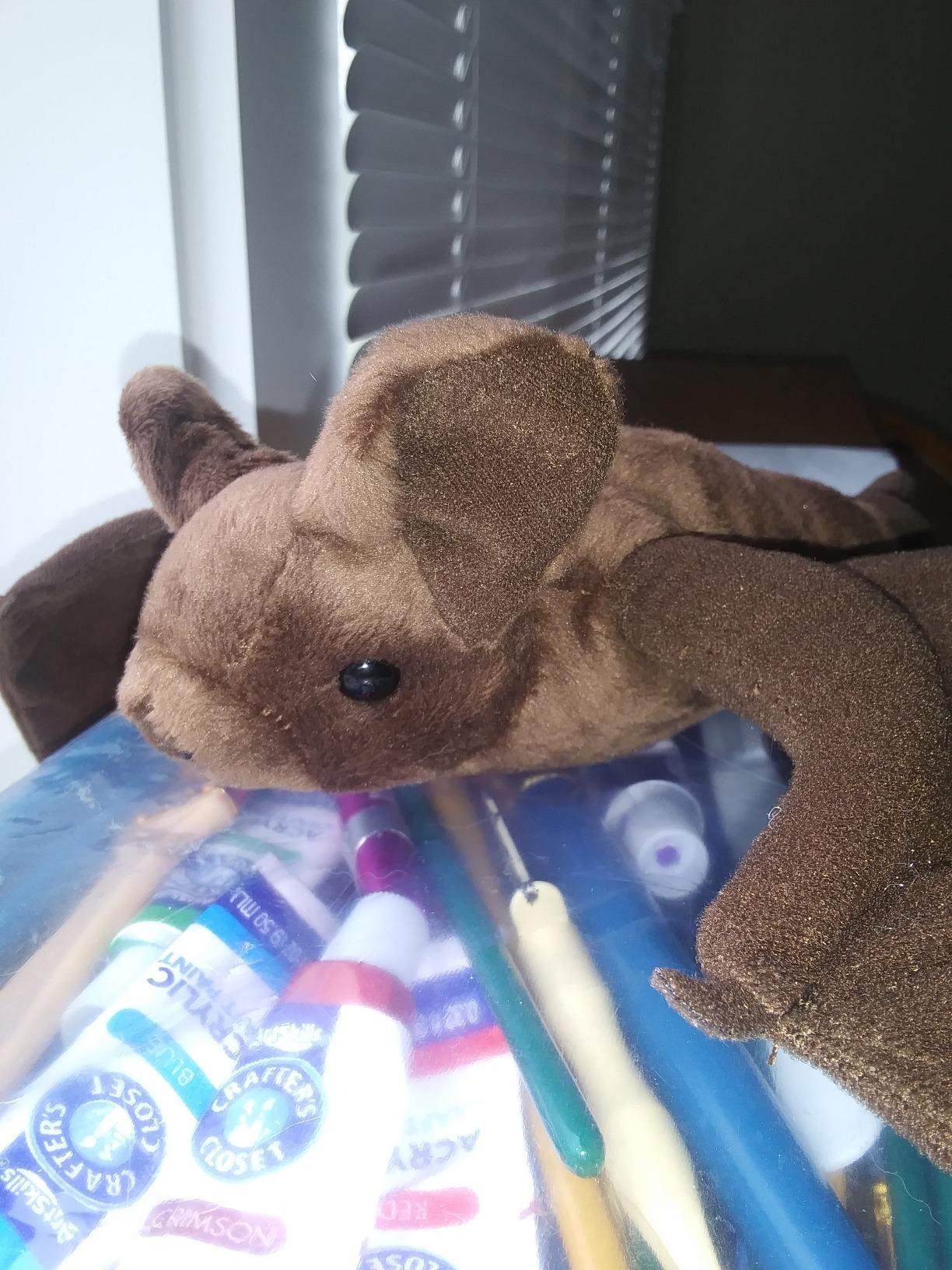 Mexican Free Tailed Bat 8.5
