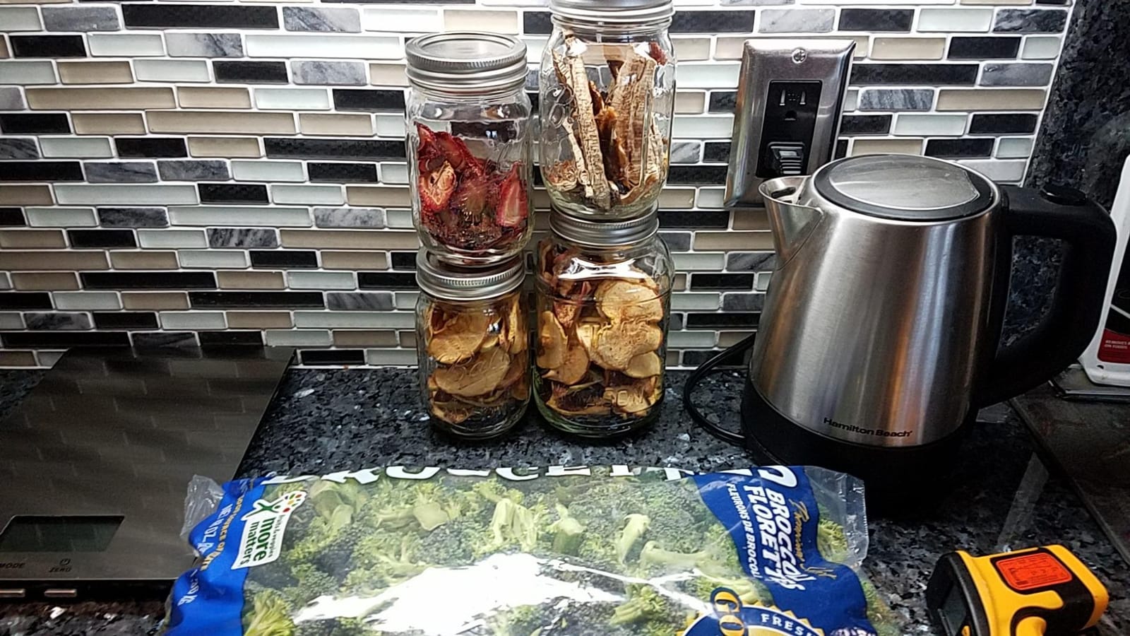 NESCO FD-75A Snackmaster Pro Food Dehydrator, For Snacks, Fruit, Beef Jerky, Gray customer photo 1