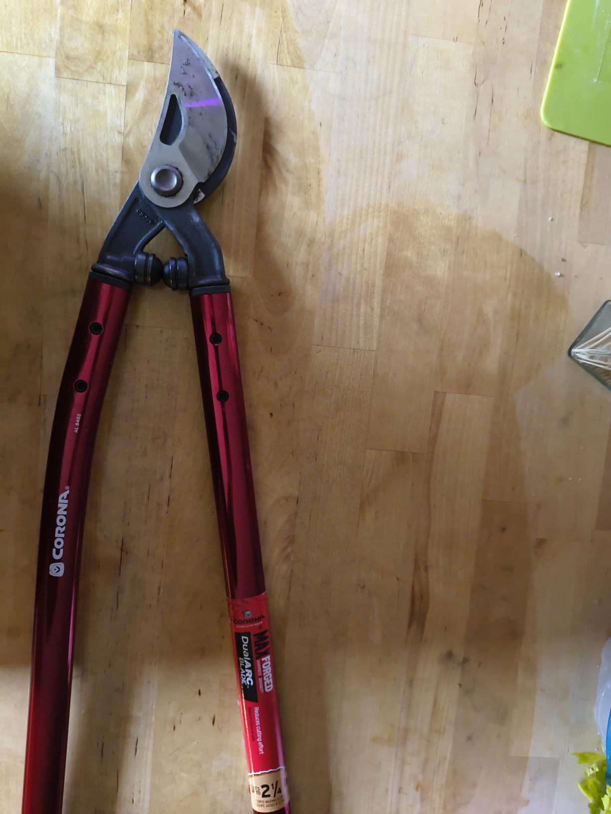 Corona Tools | 32-inch Branch Cutter MAXFORGED Orchard Loppers | Tree Trimmer Cuts Branches up to 2 ¼-inches in Diameter | AL 8462, Red customer photo 1