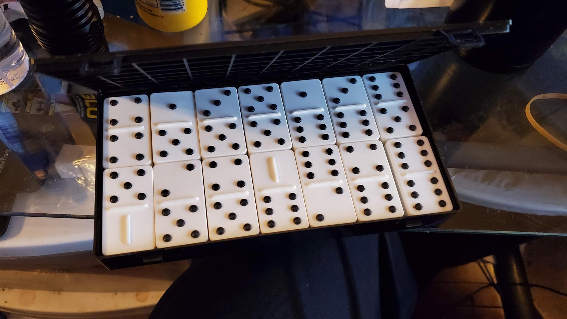 Tactile Sturdy Double-Six Dominoes Game for The Blind and Visually Impaired, Plastic (with Raised Dots) for Adults, Teens, and Children and Blind in Mind customer photo 1