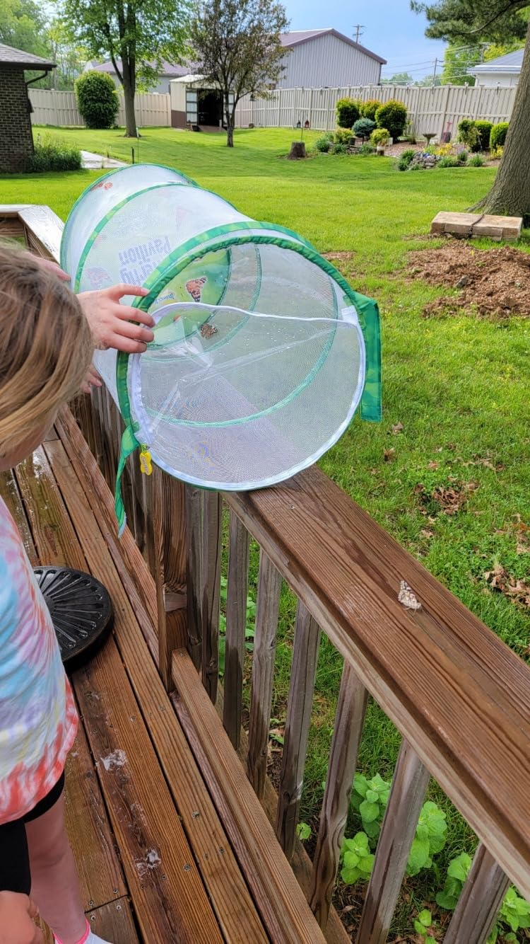 Insect Lore Butterfly Garden | Pavilion 24