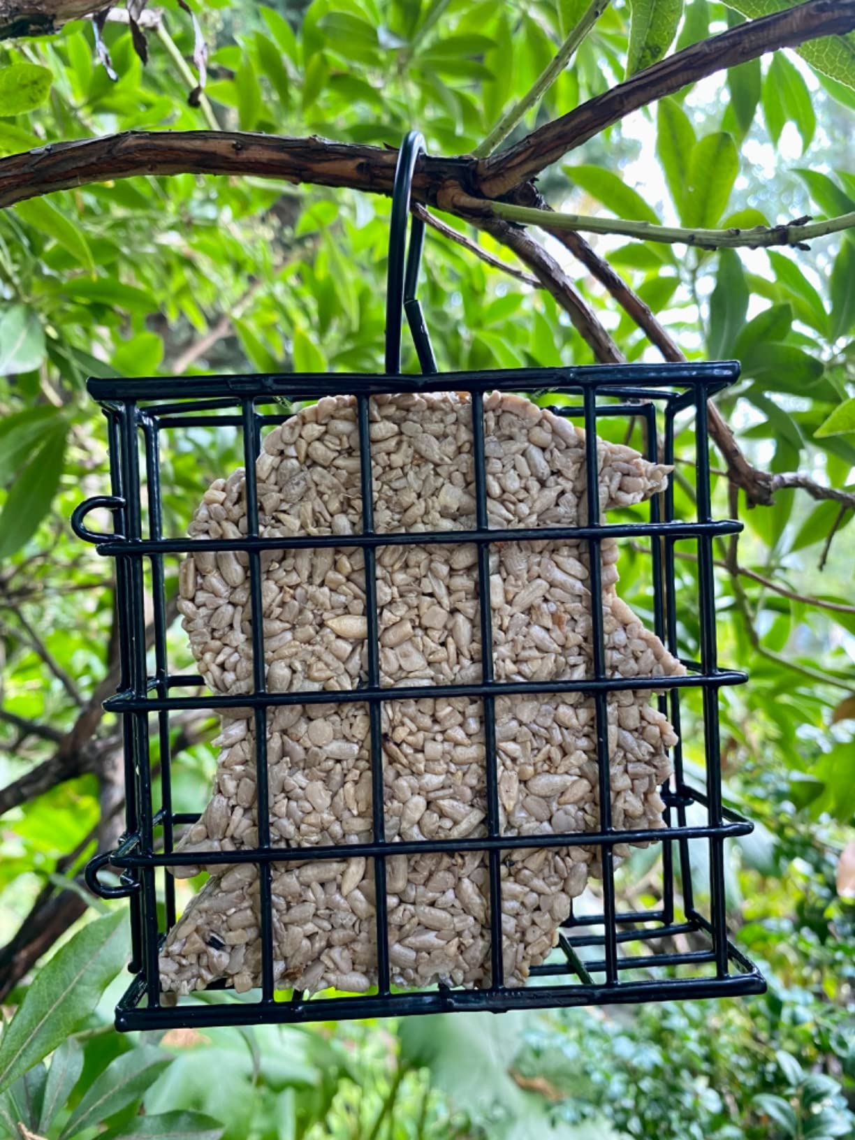 More Birds Suet Cage Bird Feeder, Fruit and Suet Feeder, Single Cake Capacity ,Black customer photo 2