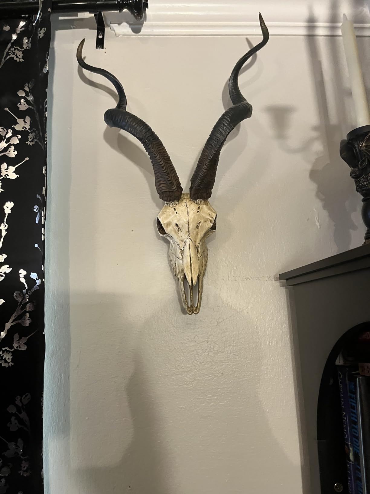 Veronese Design African Kudu Antelope Faux Skull Wall Hanging - Crafted from Cold Cast Resin for Ethical Elegance and Lifelike Detailing 23.5 Inches High Easy to Hang | White Resin, Twisted Horns, Textured Finish, 14.5 Inch Wide, 6.5 Inch Deep customer photo 1