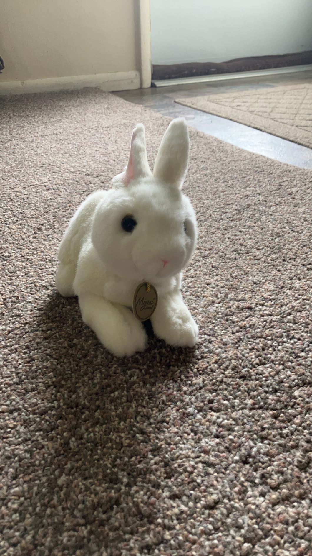 Aurora® Realistic Miyoni® American White Rabbit Stuffed Animal - Lifelike Detail - Cherished Companionship - 8 Inches customer photo 1