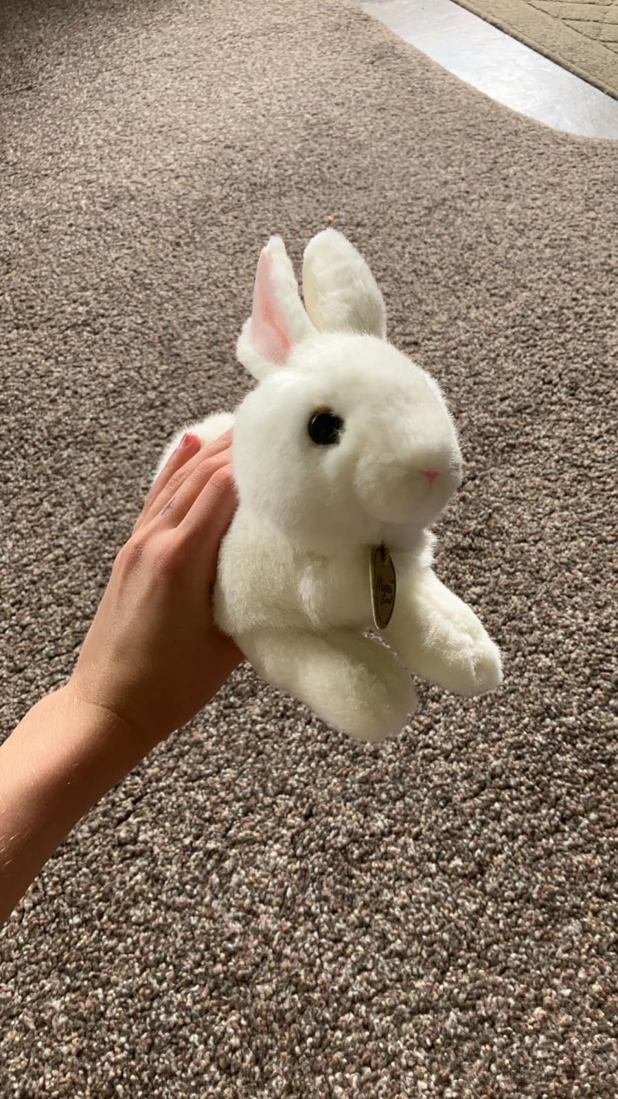 Aurora® Realistic Miyoni® American White Rabbit Stuffed Animal - Lifelike Detail - Cherished Companionship - 8 Inches customer photo 2