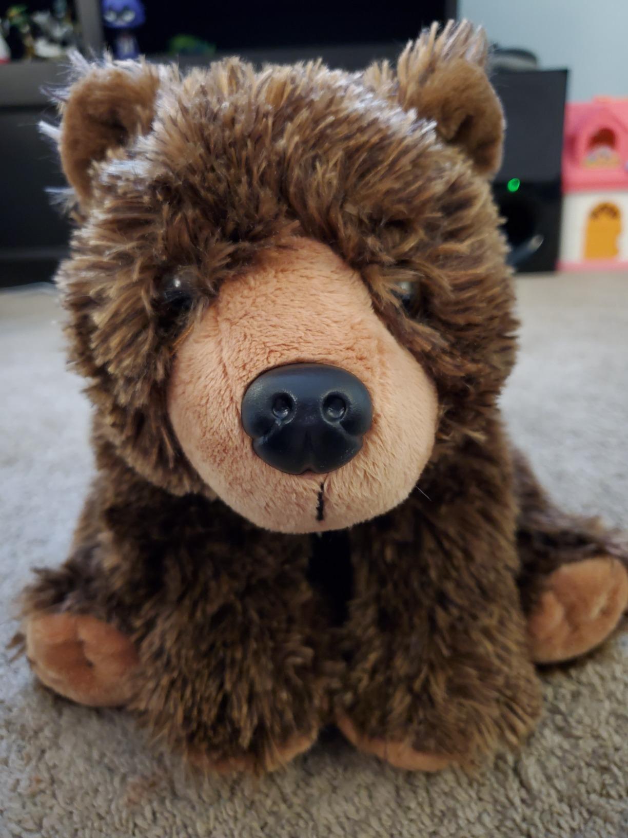 Wild Republic Grizzly Bear Plush, Stuffed Animal, Plush Toy, Gifts for Kids, Cuddlekins 12 Inches, Model:12832 customer photo 2
