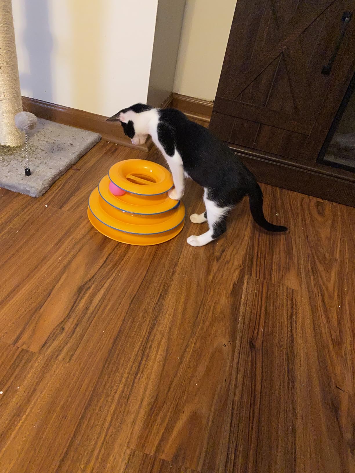 Catstages Tower of Tracks Interactive Cat Toy, 6 Spinning Balls, 10