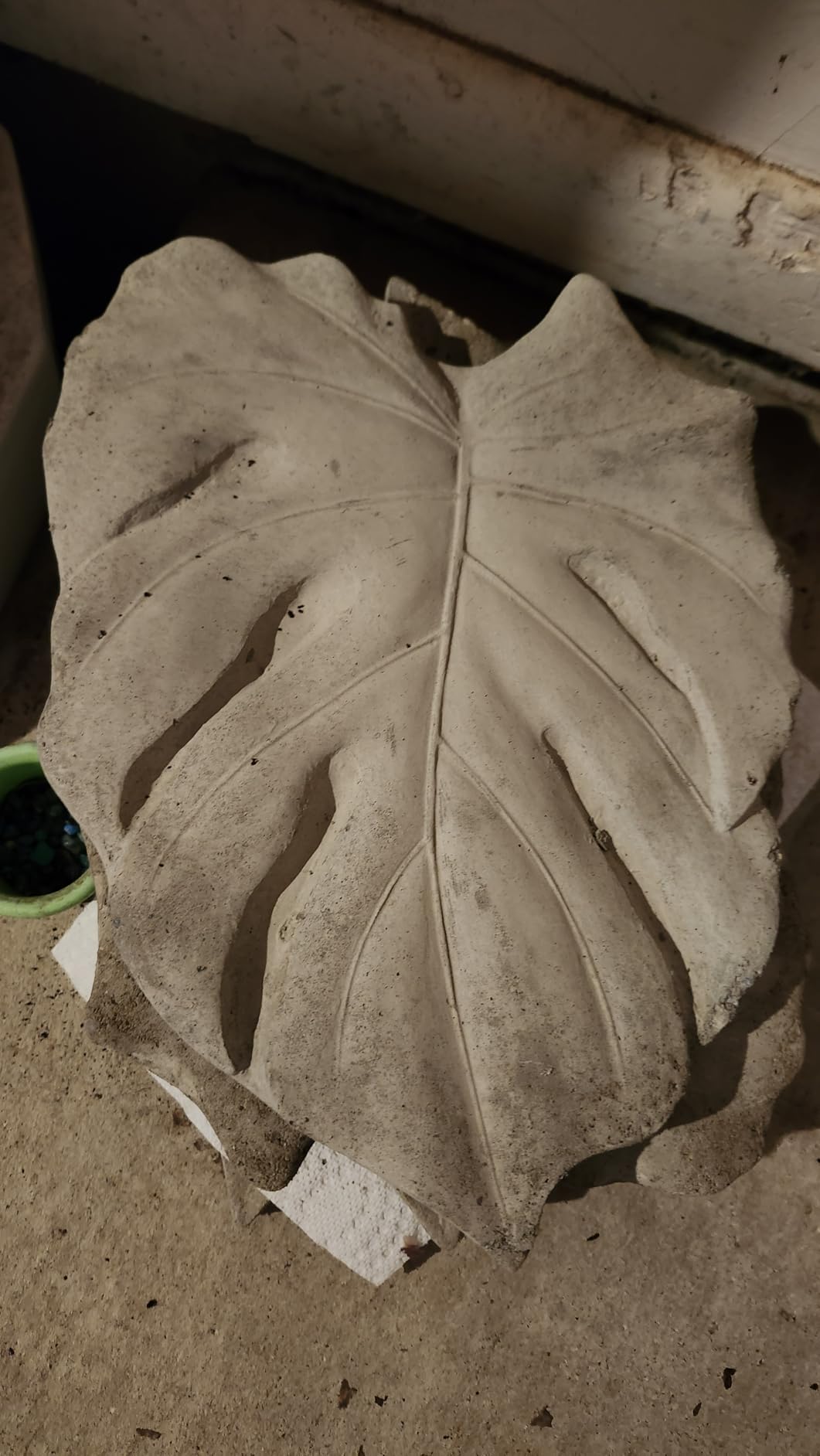 Tropical Leaf Plastic Craft Mold use with Concrete or Cement for Making Stepping Stones 1135 customer photo 1
