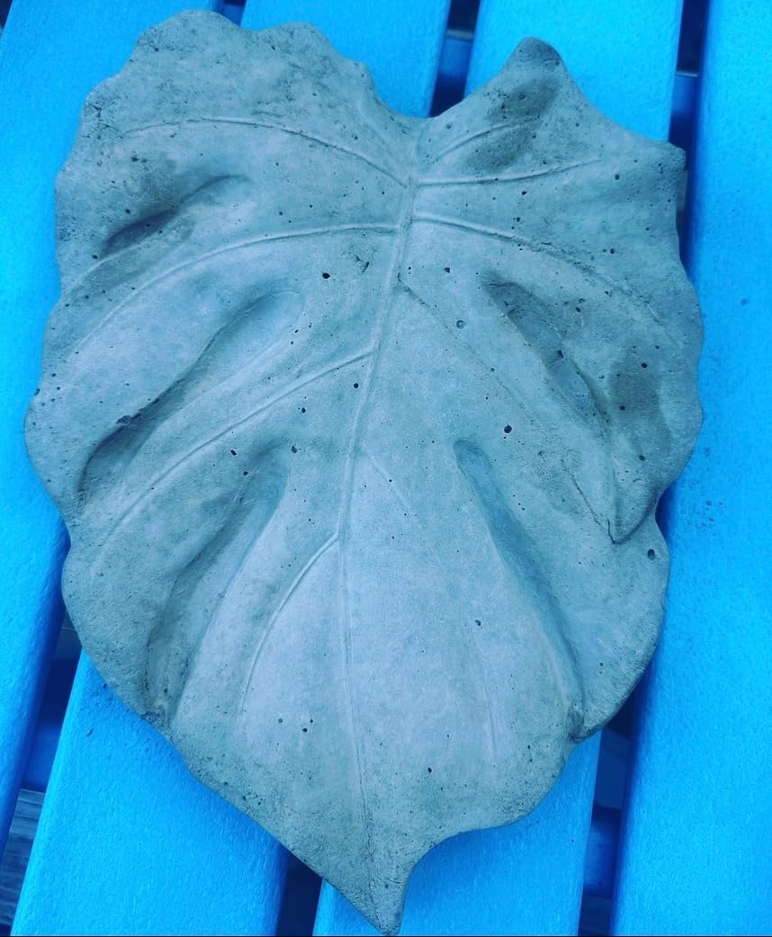 Tropical Leaf Plastic Craft Mold use with Concrete or Cement for Making Stepping Stones 1135 customer photo 2