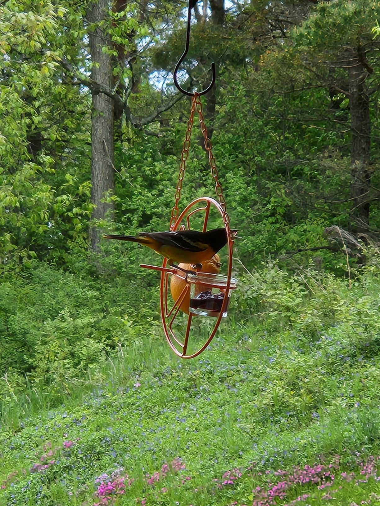 Heath Outdoor Products CF-133 Clementine Oriole Feeder , orange customer photo 1