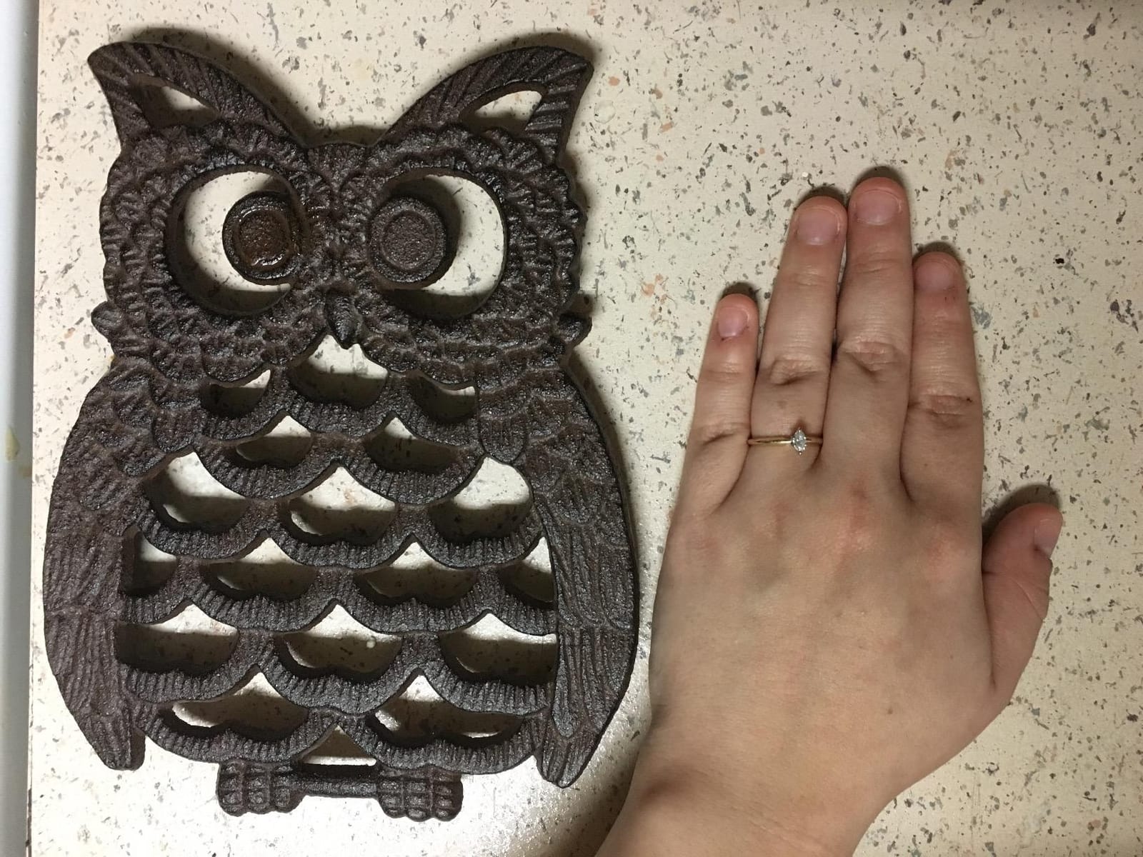 Comfify Cast Iron Owl Trivet – 7.48
