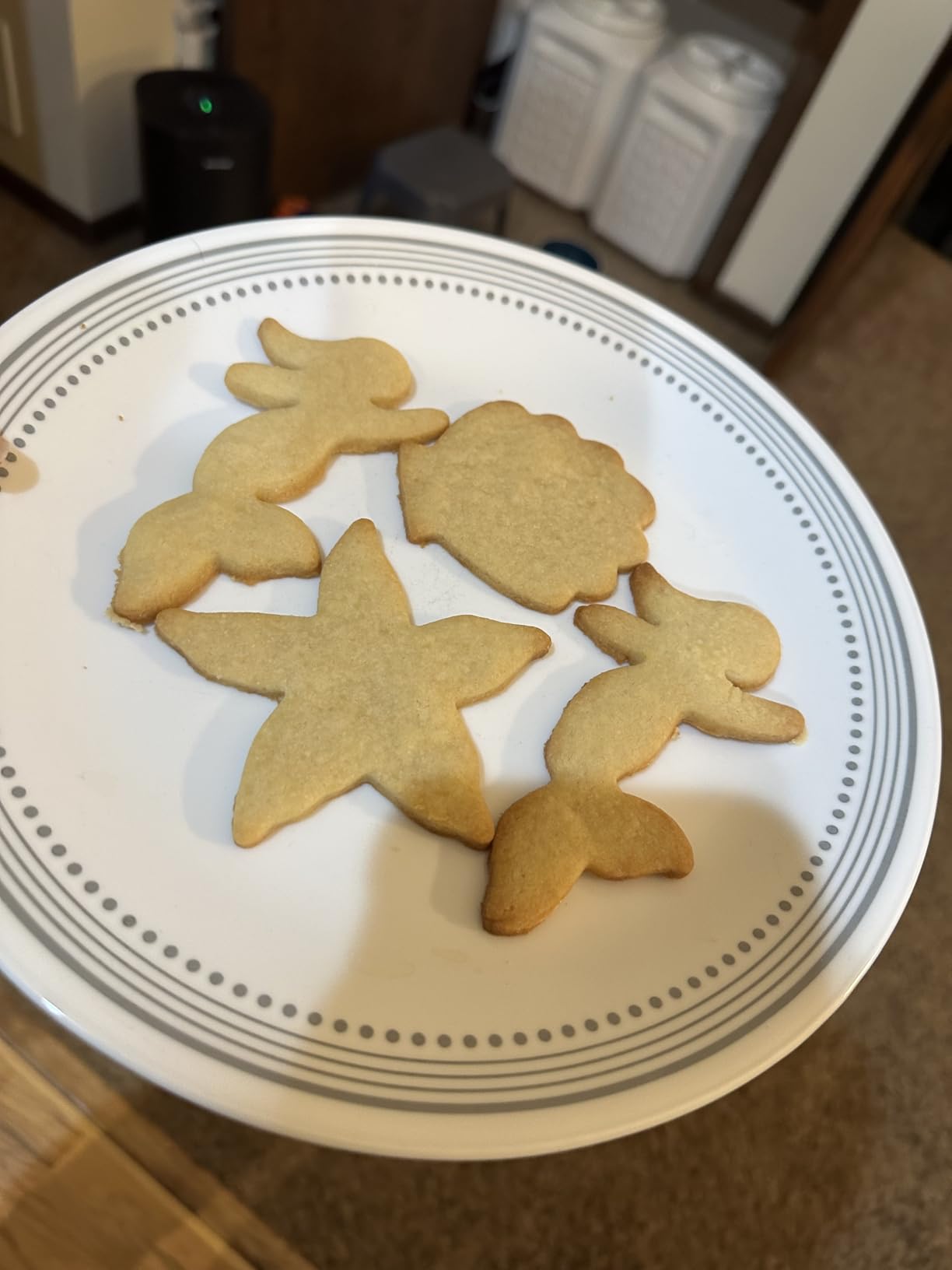 Ann Clark Starfish Cookie Cutter, Made in USA customer photo 2