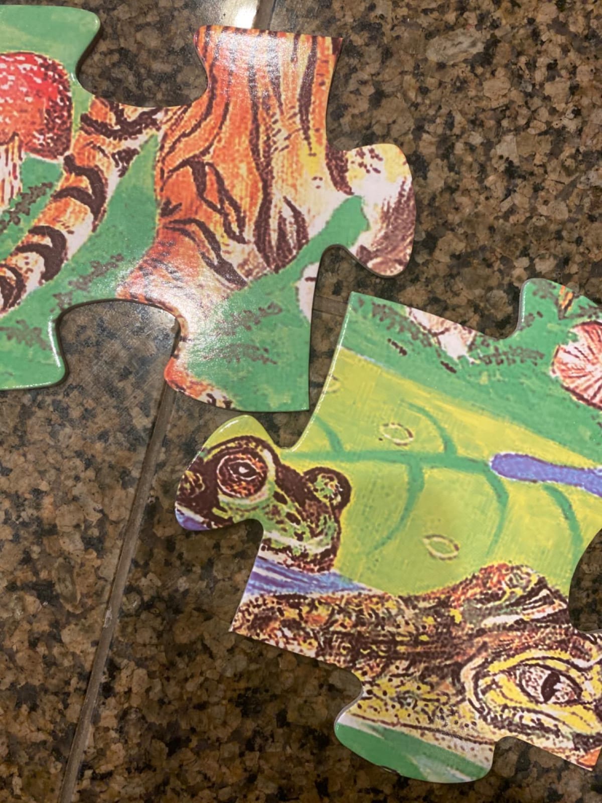 Melissa & Doug Rainforest Floor Puzzle, 48 pc Jumbo Jigsaw Puzzle, Educational Screen Free Activity for Toddler, Preschoolers and Kids Ages 3+ (2 x 3 Feet) - FSC Certified customer photo 1