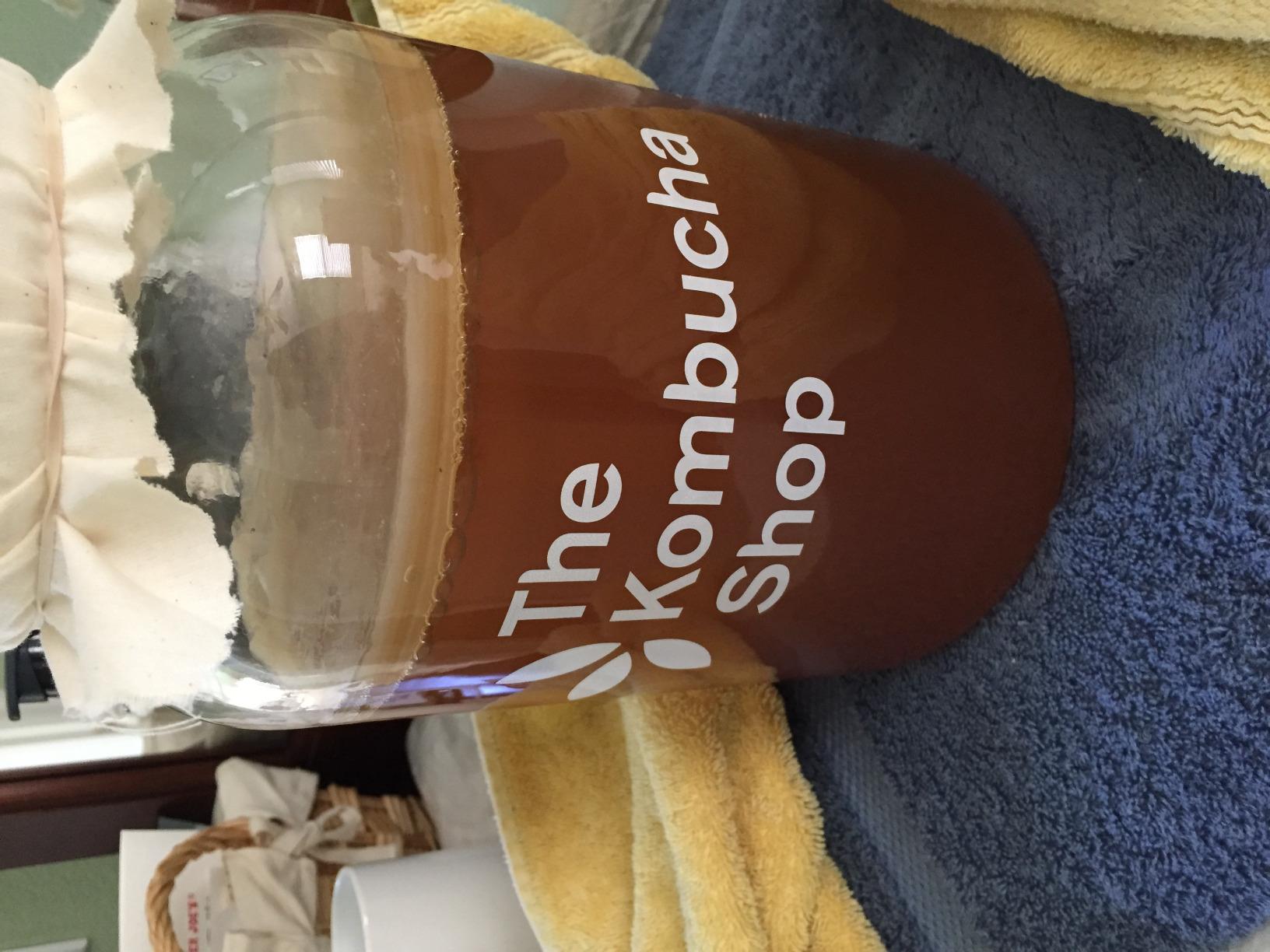 The Kombucha Shop Organic Kombucha Starter Kit - 1 Gallon Brewing Kit Includes All The Essentials Required for Brewing Kombucha At Home customer photo 2