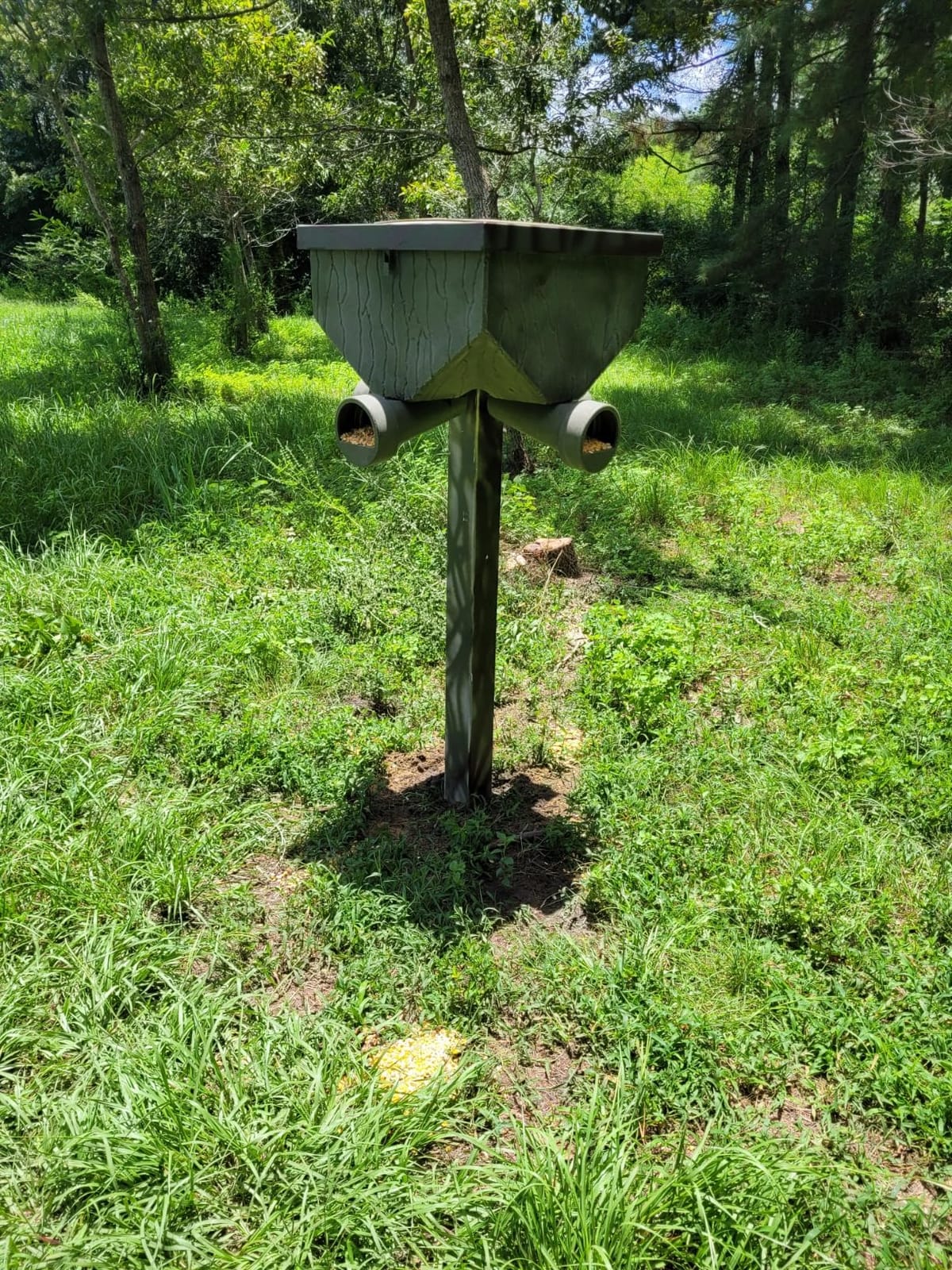 Banks Outdoors Gravity Fed Tree and Post Mountable Weatherproof Feed Bank Deer and Game Hunting Feeder with 40 Pound Capacity, Green customer photo 1