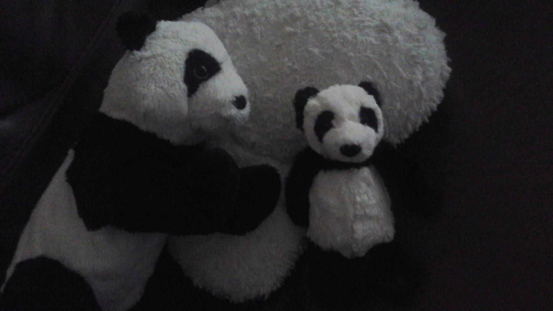 IKEA KRAMIG 902.213.18 Panda, Soft Toy, White, Black, 12.5 Inch, Stuffed Animal Plush Bear customer photo 1