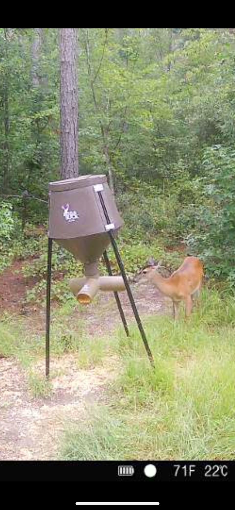 Boss Buck Gravity Deer Feeder for Game & Hunting, 200 lb Corn Capacity customer photo 2