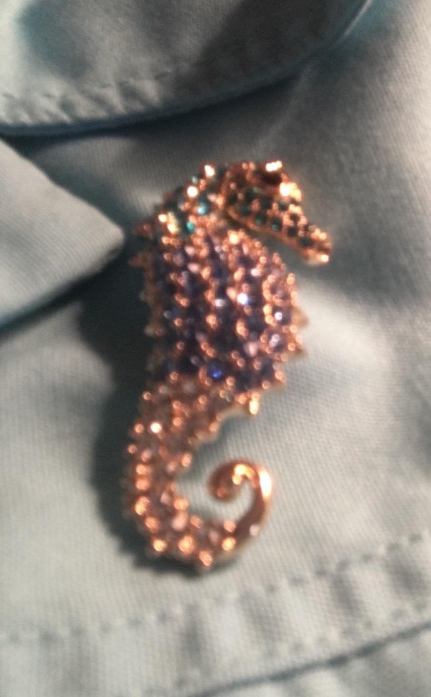Navachi 18k Gold Plated Multi-Color Crystal Sea Horse Brooch Pin customer photo 1