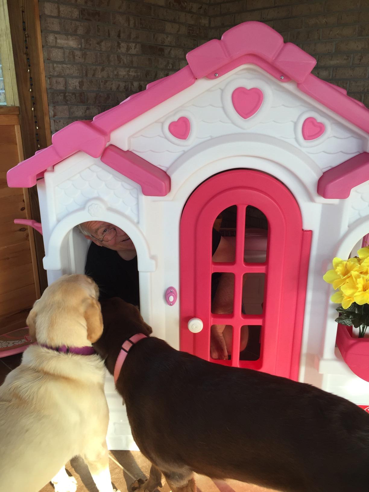 Step2 Sweetheart Kids Playhouse, Indoor/Outdoor Playset, Interactive Play with Sounds, Made of Durable Plastic, For Toddlers 1.5+ Years Old customer photo 1