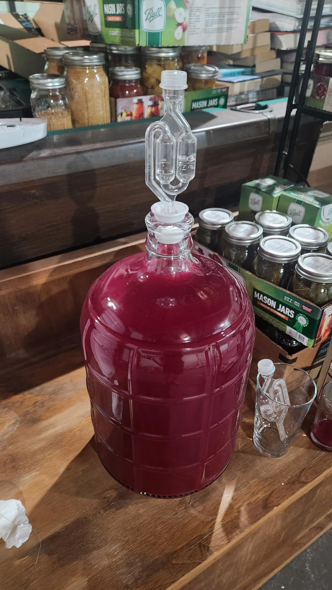 Fermtech - Auto Siphon Mini with 6 Ft of Food Safe Tubing & Clamp - Easy Home Brewing, Winemaking Kit, Complete System for Beer, Wine, Liquid Transfer & Fermentation Tools - Perfect for Small Batches customer photo 1