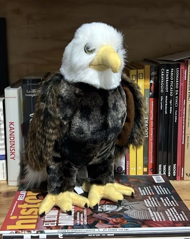 Douglas Adler Bald Eagle Plush Stuffed Animal customer photo 1