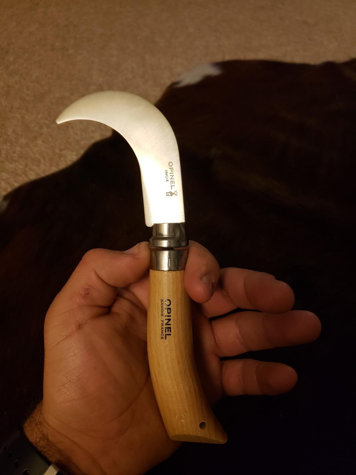 Opinel No. 10 Pruning Folding Knife - Stainless Steel for Pruning, Grafting, Orchards, Vineyards, and Gardening customer photo 2