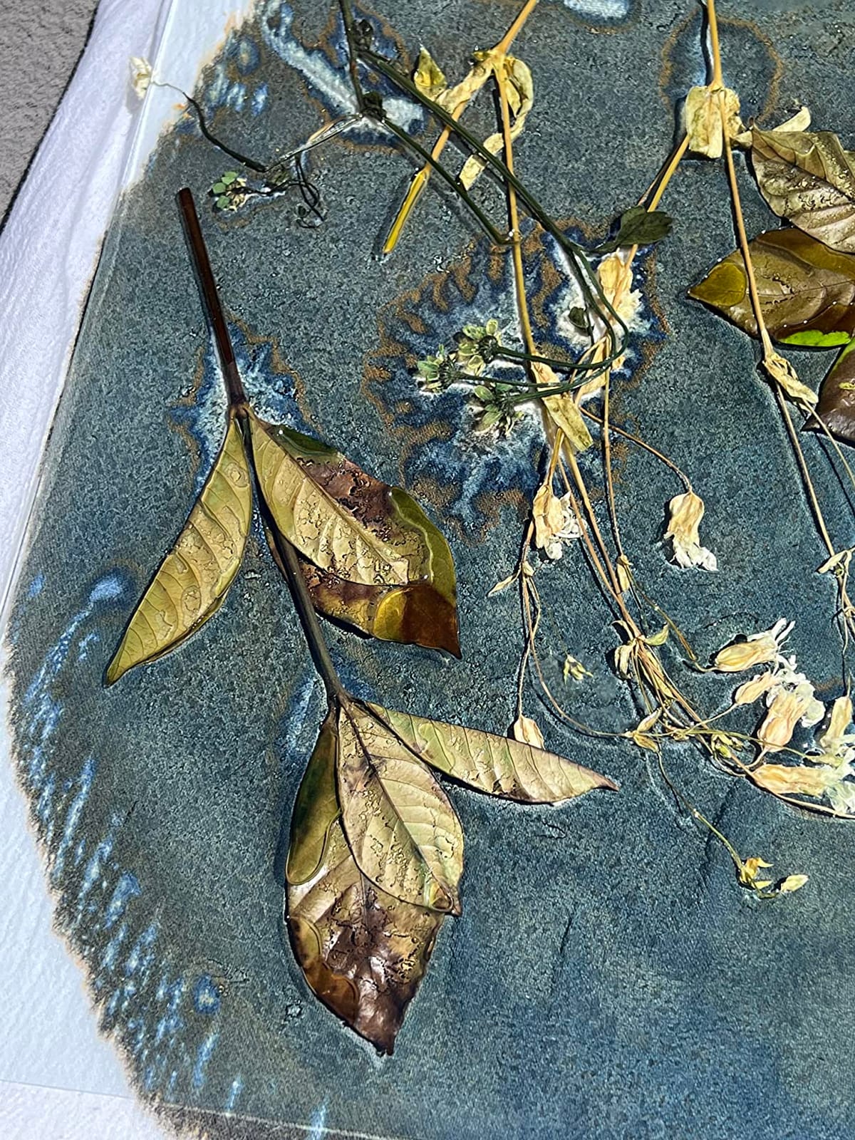 Jacquard Cyanotype Sensitizer Set customer photo 2