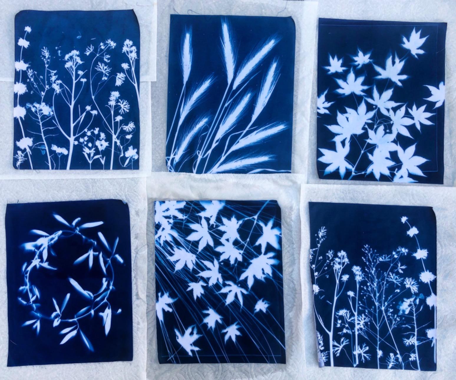 Jacquard Cyanotype Fabric Sheets, Pre-Sensitized Cotton Sateen for Easy Sun Printing, Professional-Quality Fabric Sheets, Just Expose & Rinse, Create Stunning Cyanotype Prints with UV Light, 30-Pack customer photo 2