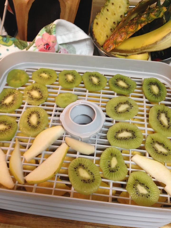 Hamilton Beach Digital Food Dehydrator for Fruit, Jerky, Vegetables & More customer photo 1